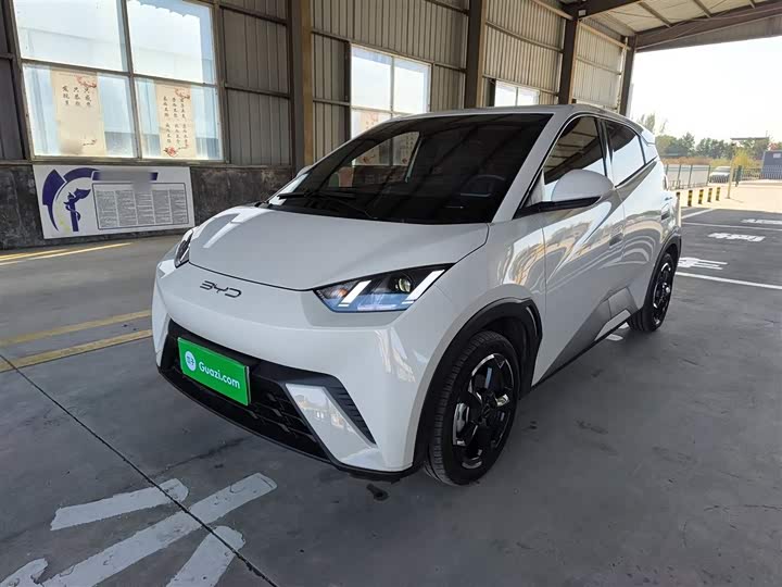 Фото 1 - BYD Seagull