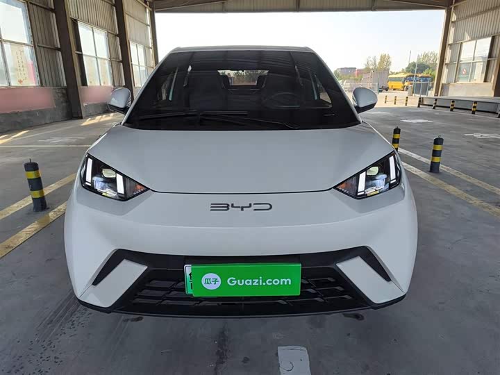 Фото 3 - BYD Seagull