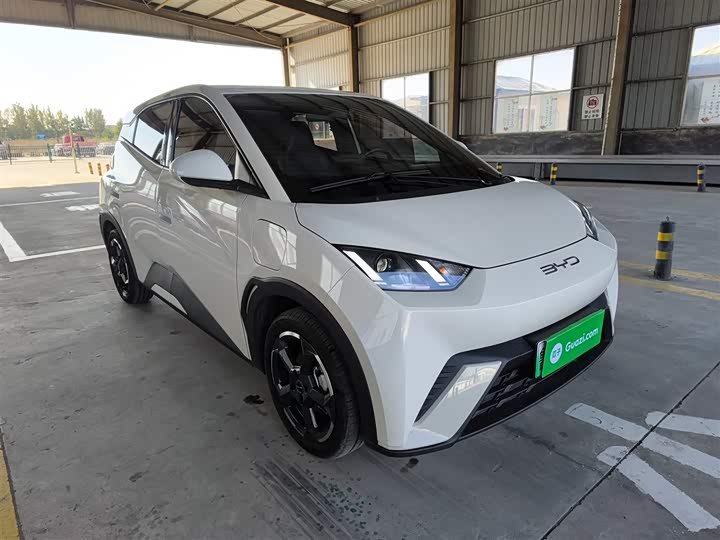 Фото 4 - BYD Seagull