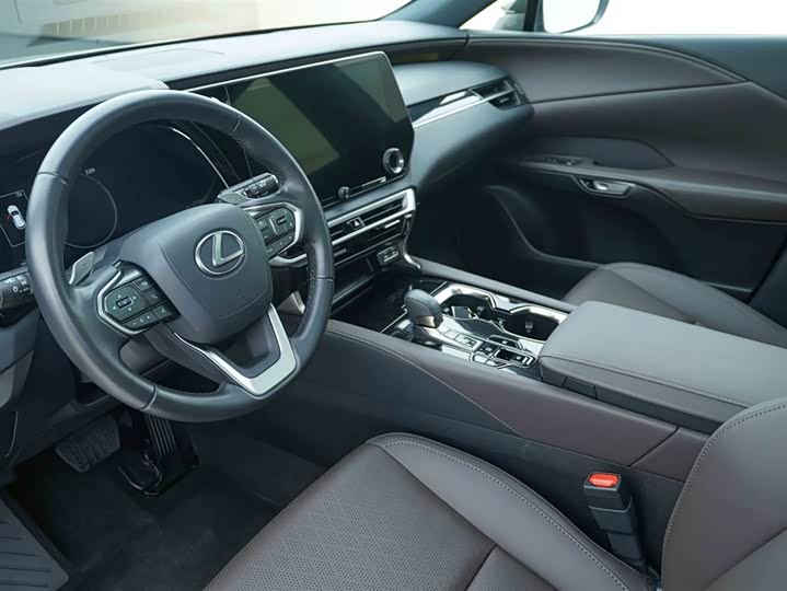 Фото 10 - Lexus RX