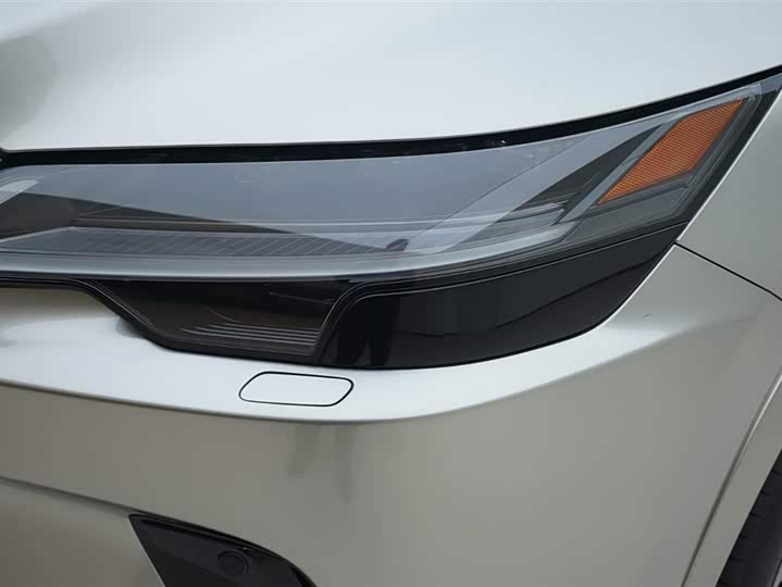 Фото 14 - Lexus RX