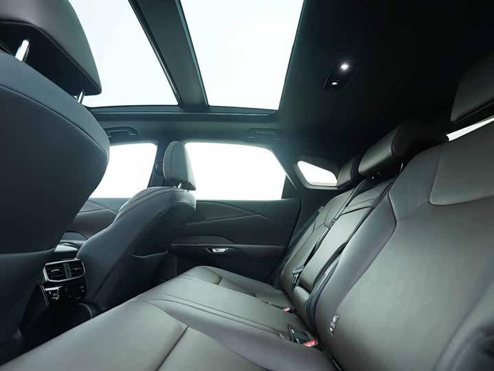 Фото 21 - Lexus RX