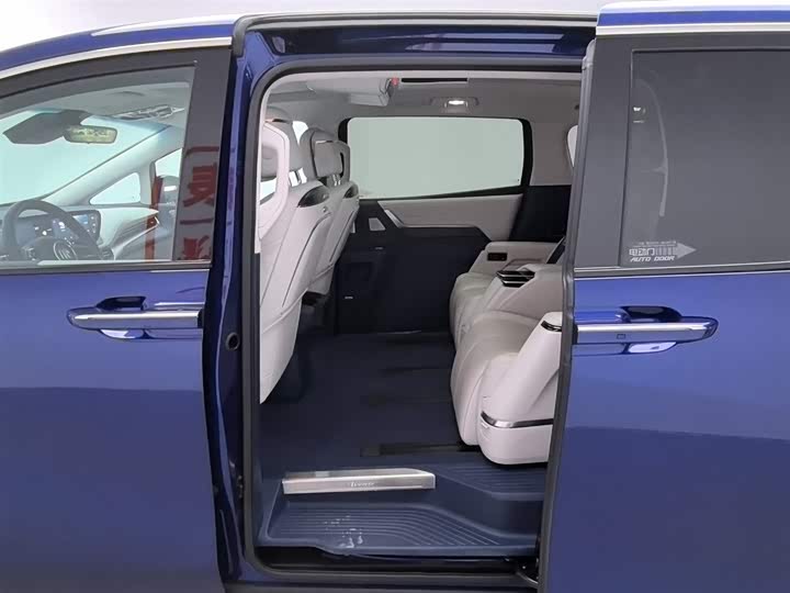 Фото 15 - Buick GL8 Century