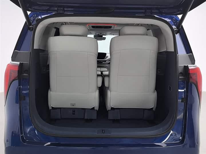 Фото 16 - Buick GL8 Century