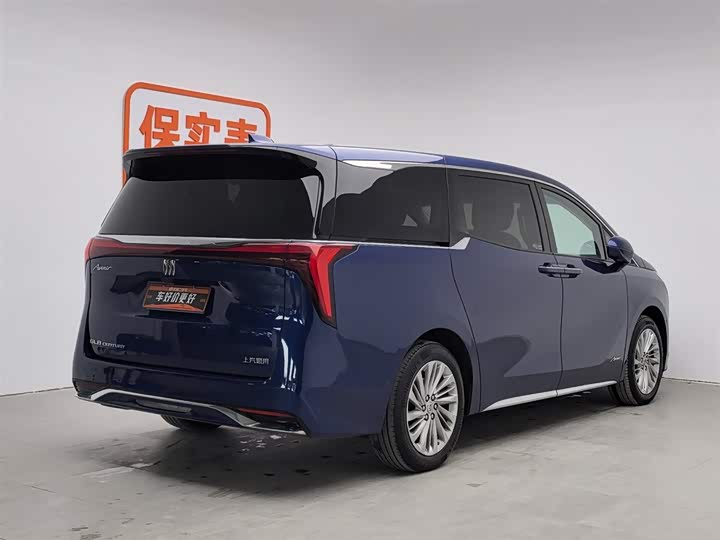 Фото 2 - Buick GL8 Century