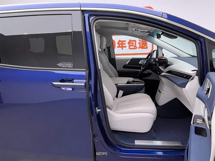 Фото 23 - Buick GL8 Century