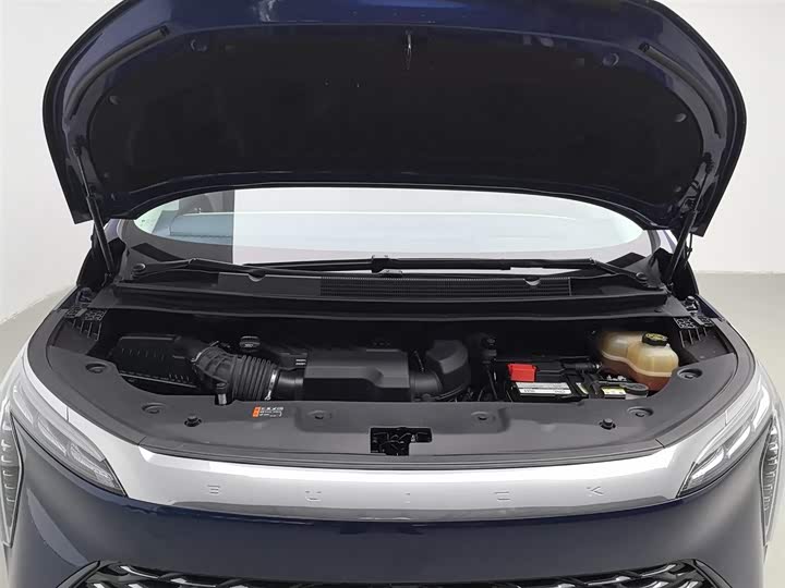 Фото 6 - Buick GL8 Century