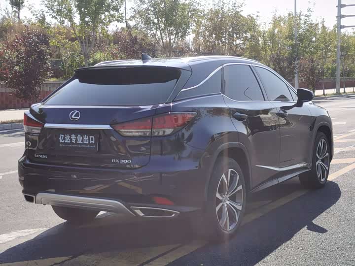 Фото 5 - Lexus RX