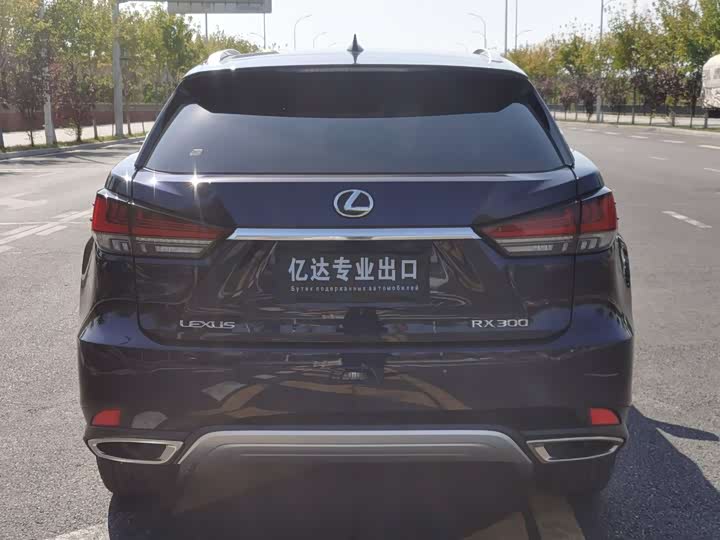 Фото 6 - Lexus RX