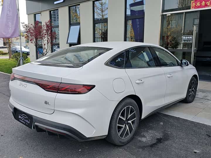 Фото 11 - BYD Qin L