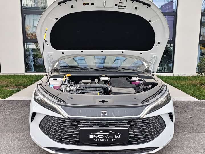 Фото 4 - BYD Qin L