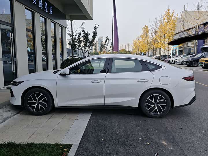 Фото 5 - BYD Qin L