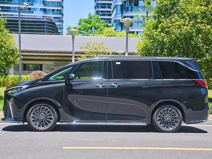 Фото 3 - Lexus LM