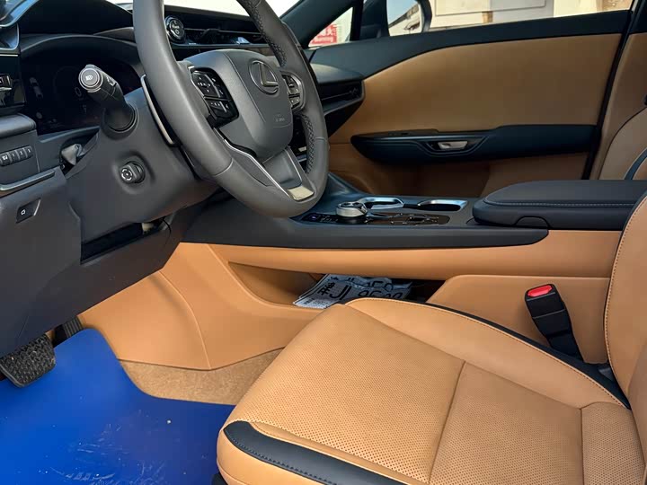 Фото 10 - Lexus RZ