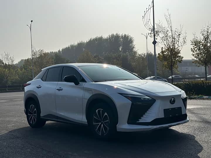 Фото 3 - Lexus RZ