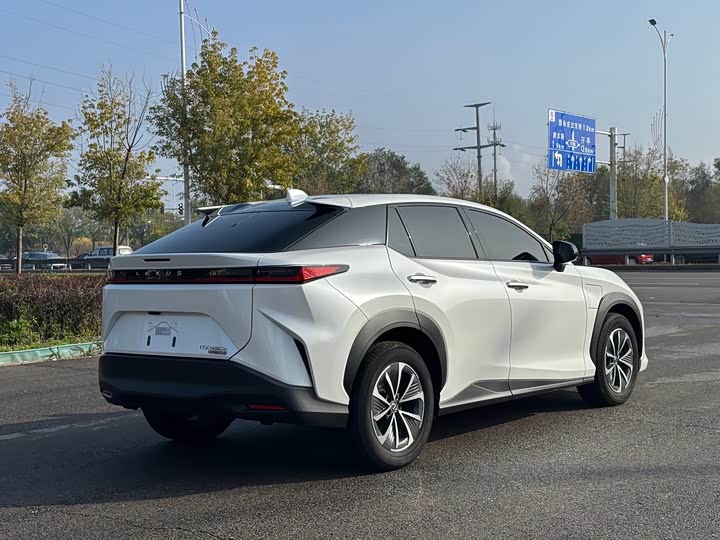 Фото 6 - Lexus RZ