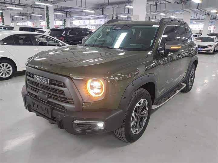 Фото 2 - Haval Dargo