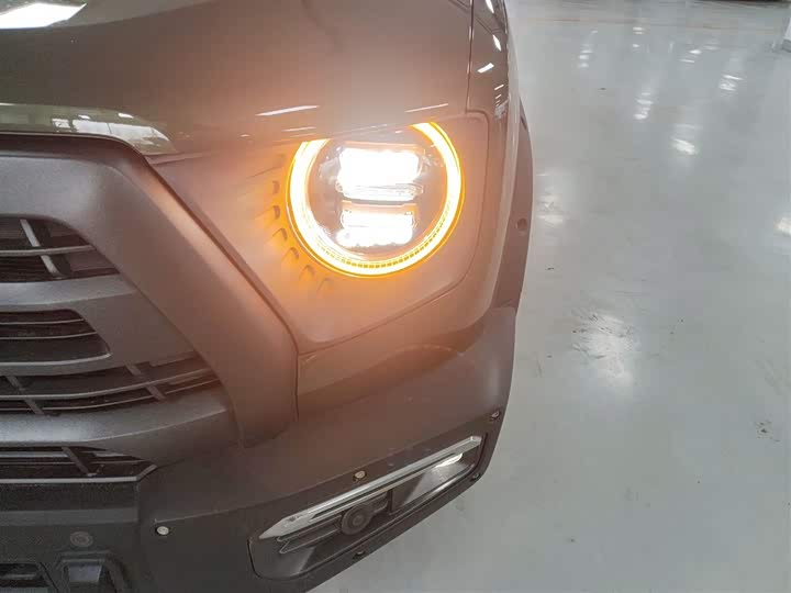 Фото 24 - Haval Dargo