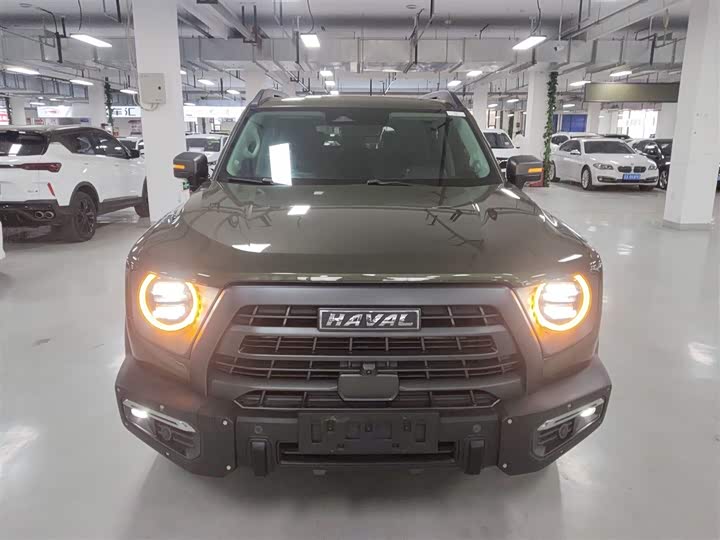 Фото 3 - Haval Dargo