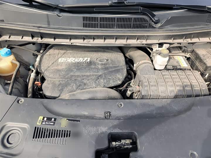 Фото 20 - GAC Trumpchi M8