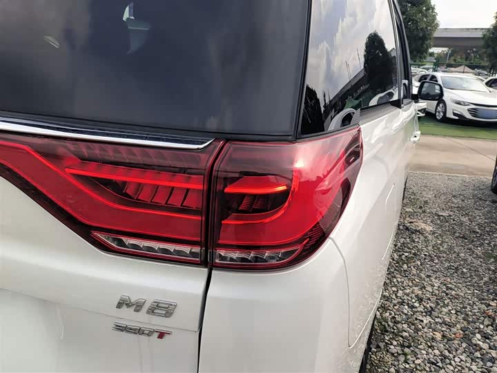 Фото 8 - GAC Trumpchi M8