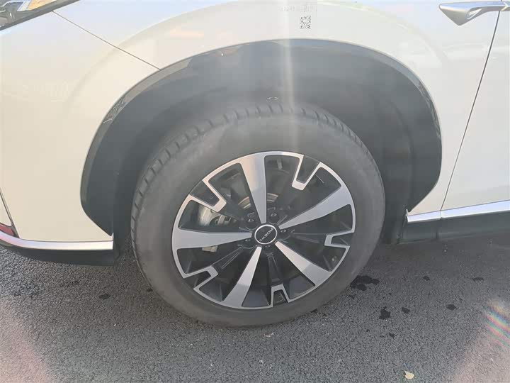 Фото 23 - Roewe D5X DMH