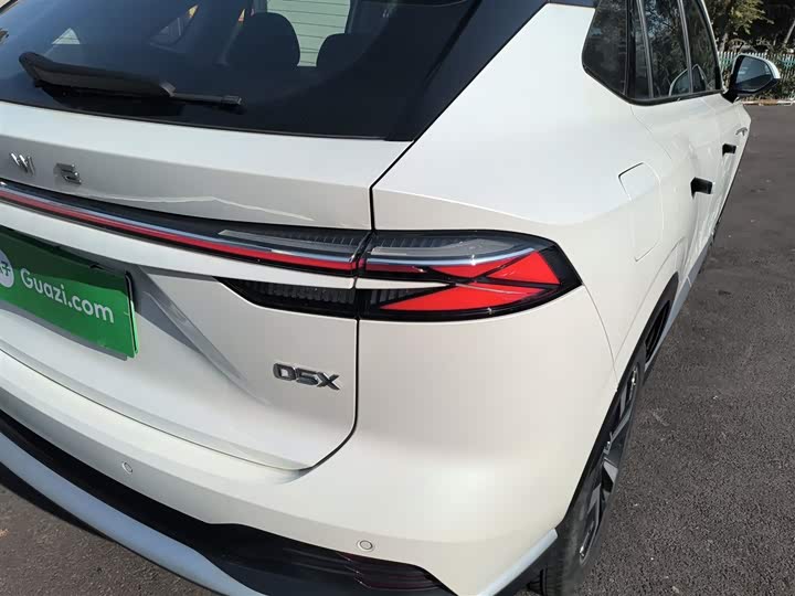 Фото 8 - Roewe D5X DMH