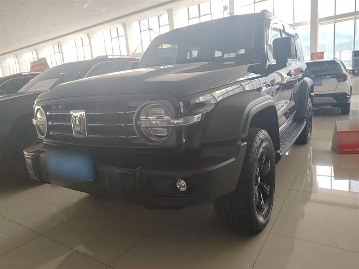 Фото 2 - Tank 300