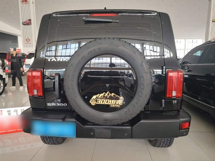 Фото 6 - Tank 300