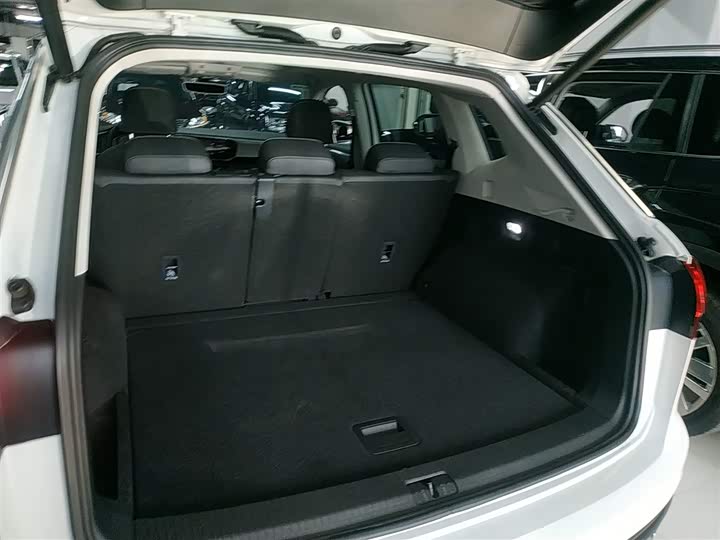 Фото 19 - Volkswagen Tayron