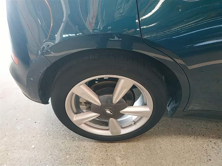 Фото 26 - Ora Good Cat (03)