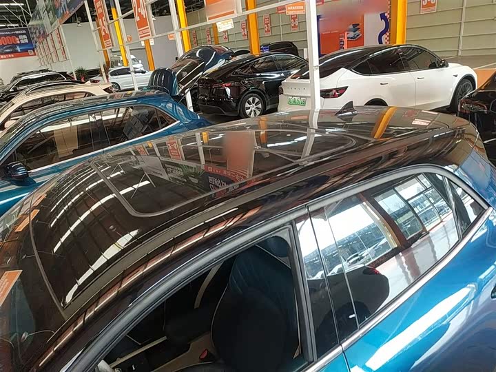 Фото 27 - Ora Good Cat (03)