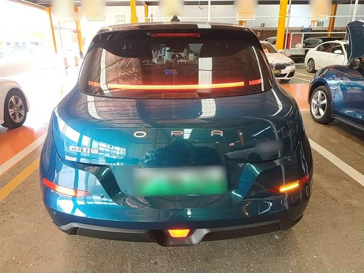 Фото 6 - Ora Good Cat (03)