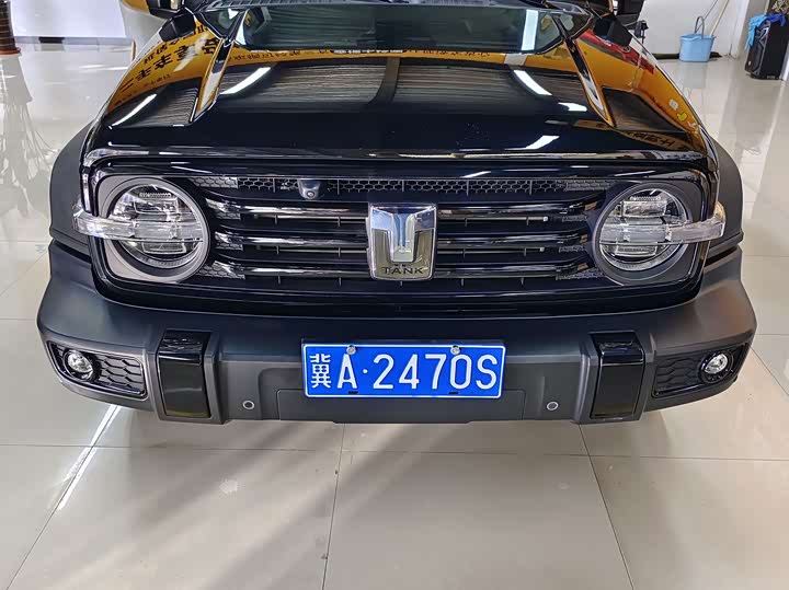 Фото 2 - Tank 300