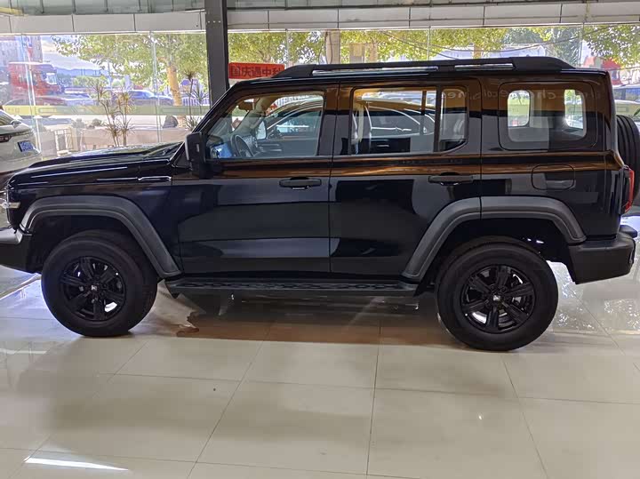 Фото 3 - Tank 300