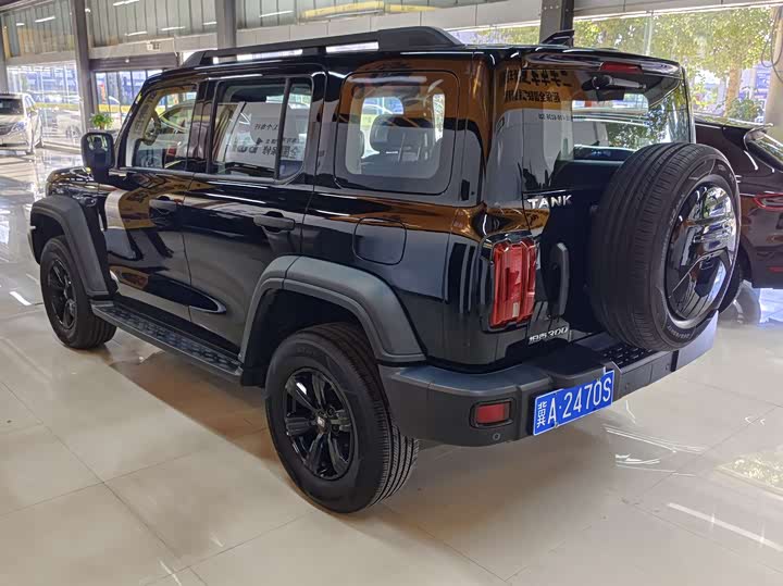 Фото 4 - Tank 300