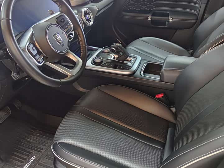 Фото 6 - Tank 300