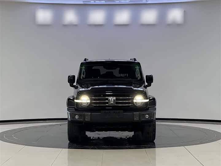 Фото 3 - Tank 300