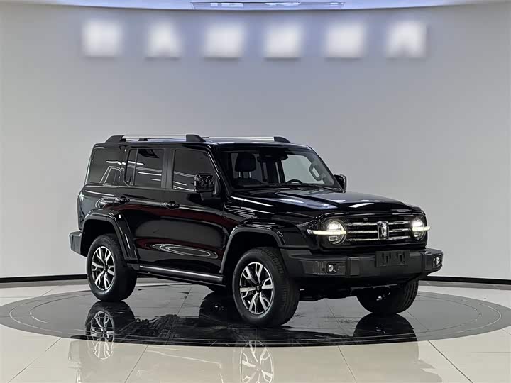 Фото 4 - Tank 300