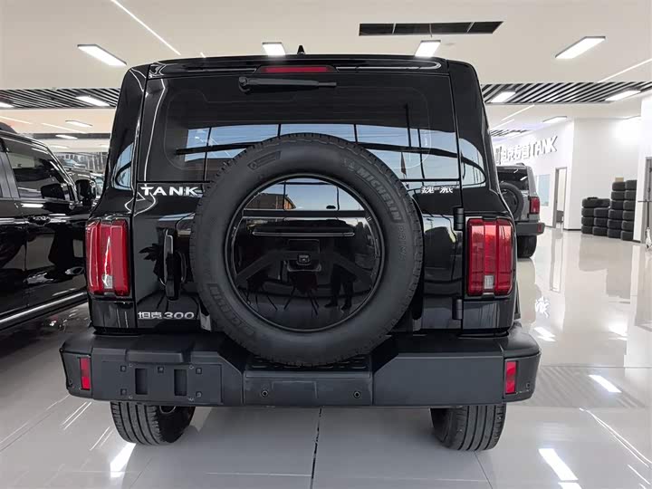 Фото 7 - Tank 300