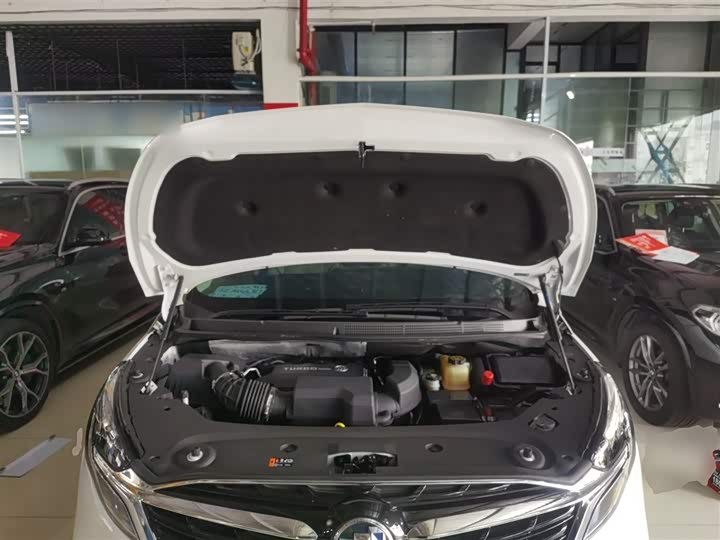 Фото 20 - Buick GL8 ES