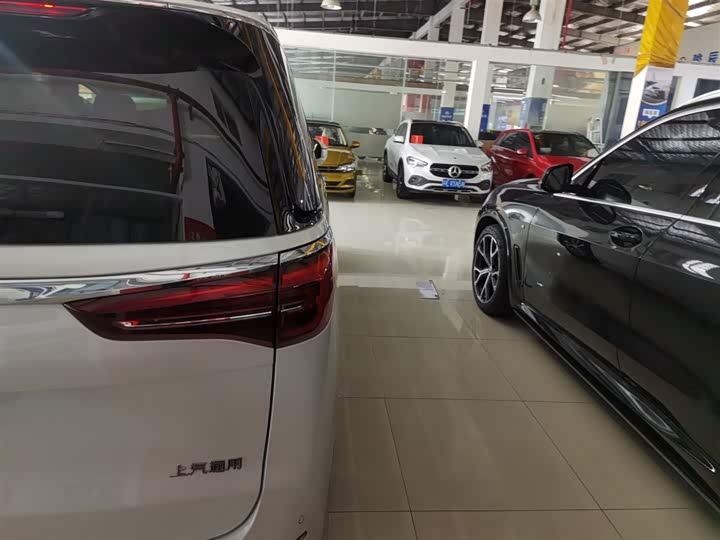 Фото 8 - Buick GL8 ES