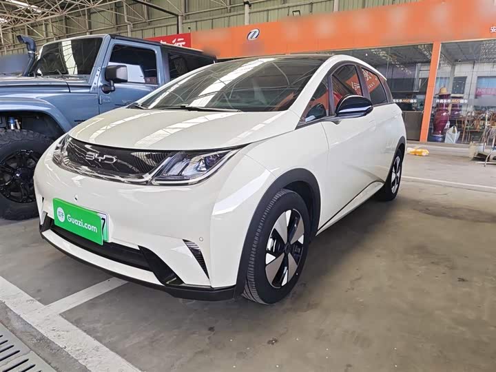 Фото 1 - BYD Dolphin