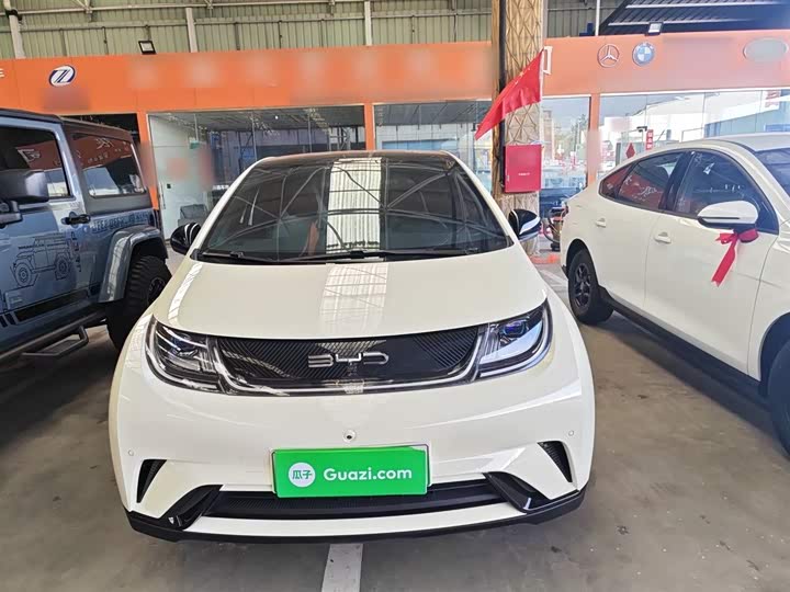 Фото 3 - BYD Dolphin