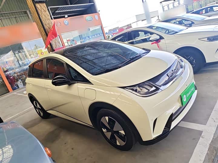 Фото 4 - BYD Dolphin