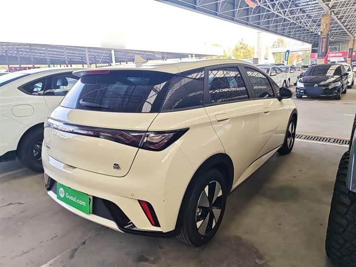 Фото 5 - BYD Dolphin