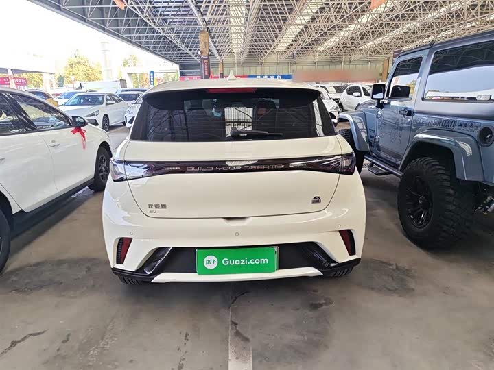 Фото 6 - BYD Dolphin