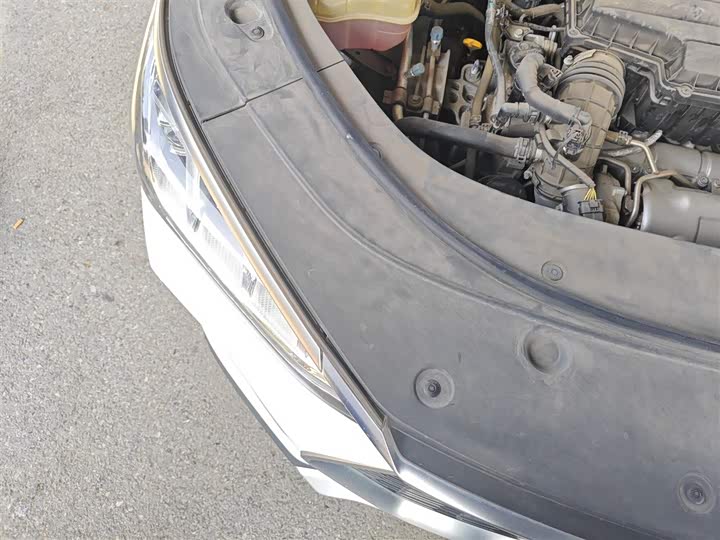 Фото 21 - BYD Song Plus