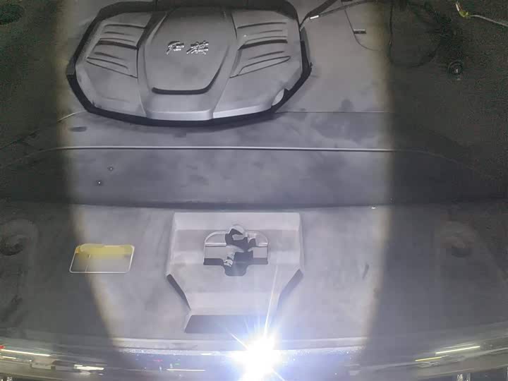 Фото 11 - Hongqi HS5