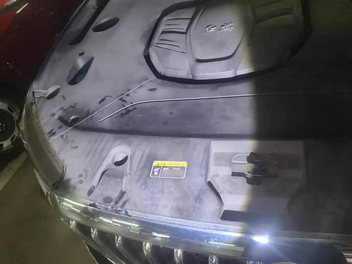 Фото 21 - Hongqi HS5